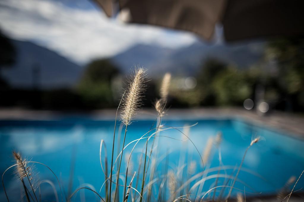 Hotel Landhaus Innerhofer Schenna Εξωτερικό φωτογραφία